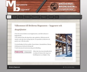 Bröderna Magnusson