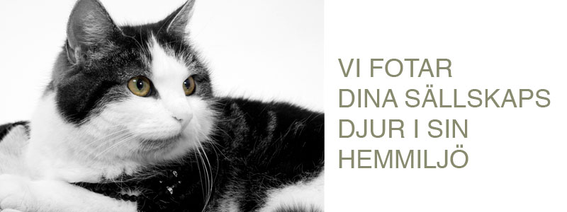 djur