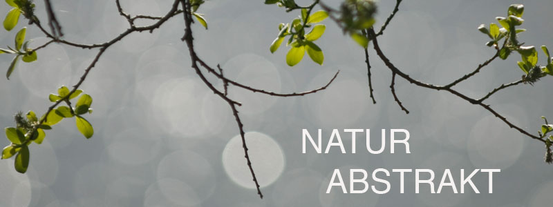 naturAbstrakt